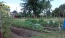 Garden of Eden